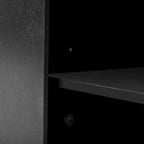 Fraxinus Mandschuric Cabinet with Three fir Doors