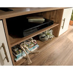 60" TV Stand Entertainment Credenza with Doors - Mid-Century Modern Coastal Style - Sindoori Mango Finish - Gold Metal Frame
