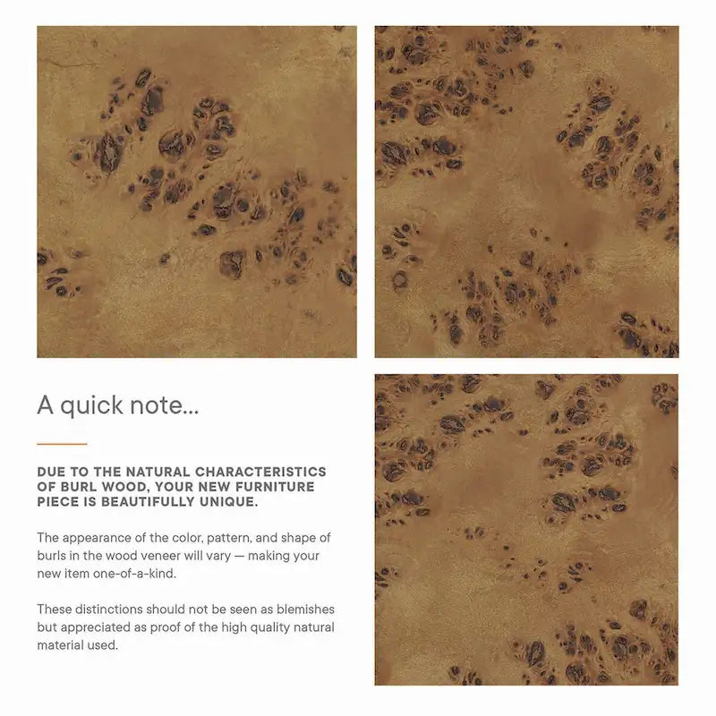 24 Inch Bathroom Vanity Cabinet - Mango Wood with Burl Veneer - Single Drawer Storage - Modern Freestanding Design